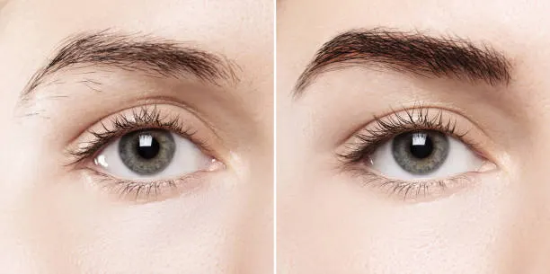Naturligt udførte powder brows